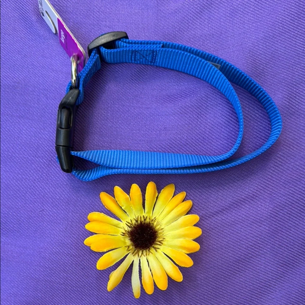 🐕 PetWear; BNWT! Cobalt Blue Lg. (Labrador, Boxer) Dog Leash; 1” x 15” x 26.”